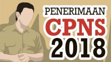 cpns-2018