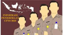 Penerimaan CPNS Tahun 2019