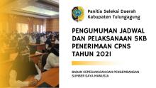gambar artikel pengumuman SKB 2021