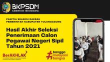 gambar hasil akhir cpns 2021