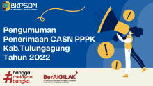 gambar pppk 2022