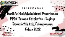 nakes pppk 2022