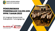 pppk 2023