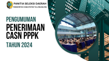 gambar pengumuman pppk 2024