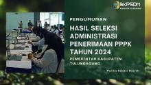 hasil admin pppk 2024
