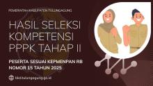 ilustrasi hasil seleksi pppk2 teknis kepmenpan 15 2025