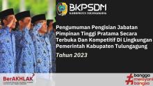 gambar seleksi jpt pratama